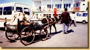 Villagers transporting goods via cart